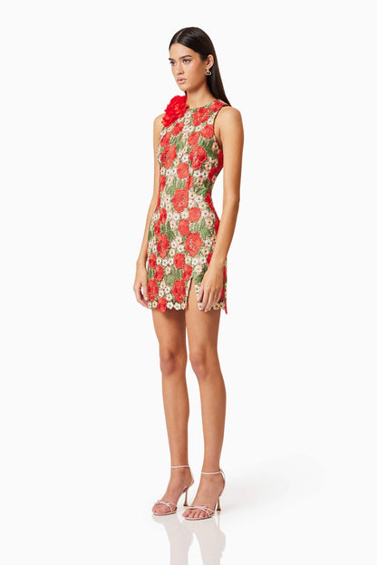 Roselyn Embroidered Mini Dress In Red